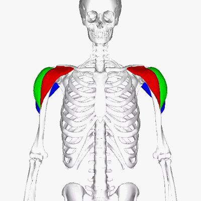 揭秘3D每期必中组6的秘诀，掌握技巧，赢取大奖