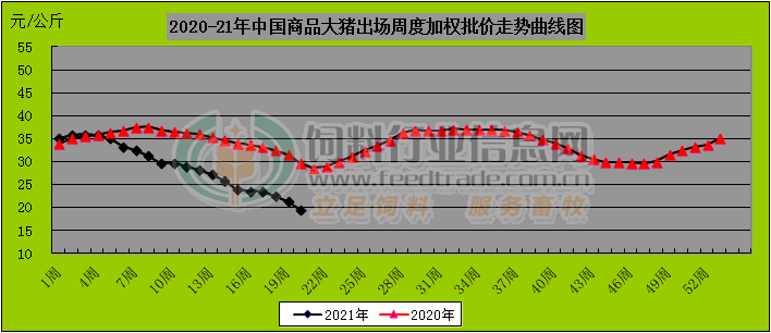 广东体彩网走势图，探索与解读