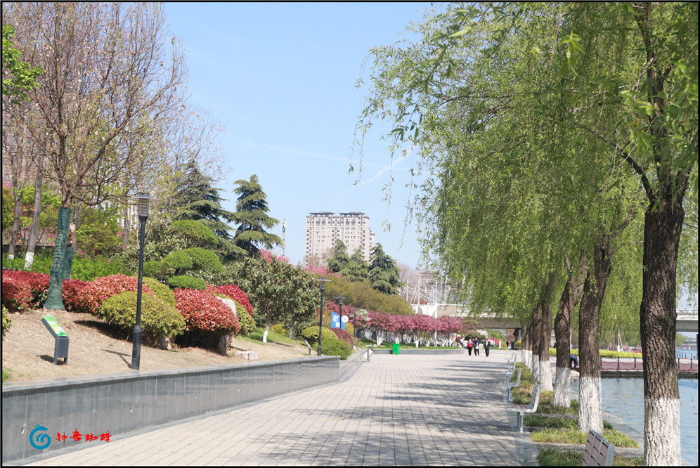 今日三D开机号后专家预测分析