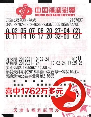 彩票开奖中奖查询公告，揭秘幸运背后的故事