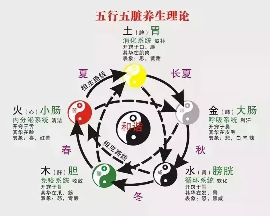 五行定胆规律，探索古老智慧中的预测奥秘