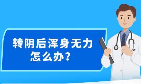 新澳精准资料免费提供，探索第630期的价值与影响