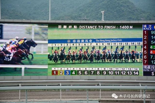 香港马会开奖结果直播，探索赛马运动的魅力与实时开奖的激情