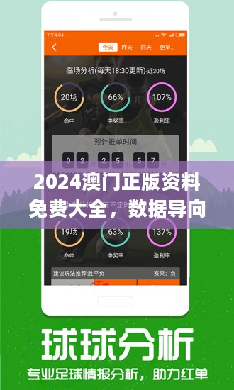 新澳天天彩免费资料2024老，探索与解析