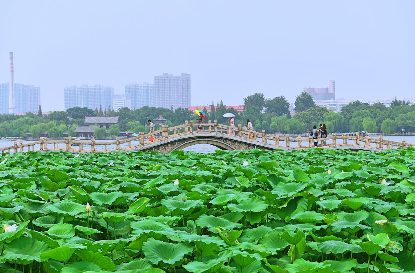 天下彩与香港免费资料，探索与解析