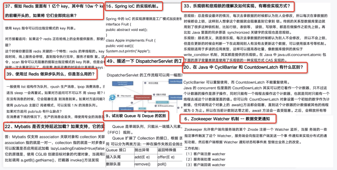 香港特马资料大全，探索与解析