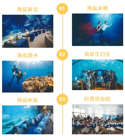 探索6合彩图库，揭秘其魅力与奥秘