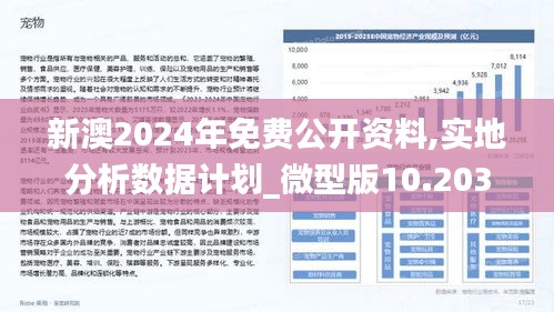 新澳2024年精准资料