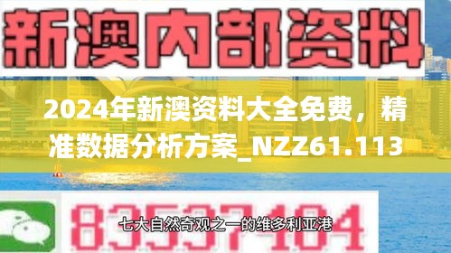 新澳2024年精准资料期期详解