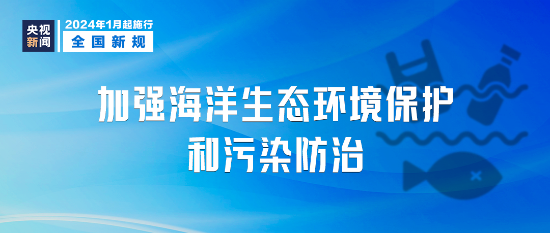 新澳门资料大全正版资料2024，探索与解读