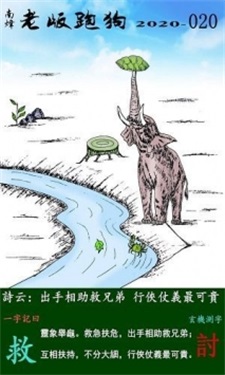 新跑狗高清跑狗图彩图，探索与赏析