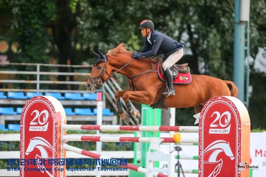 探索香港马会，深入了解2021年内部免费资料