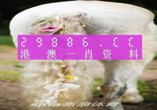 持重与智慧（或者可以简化为“持重”