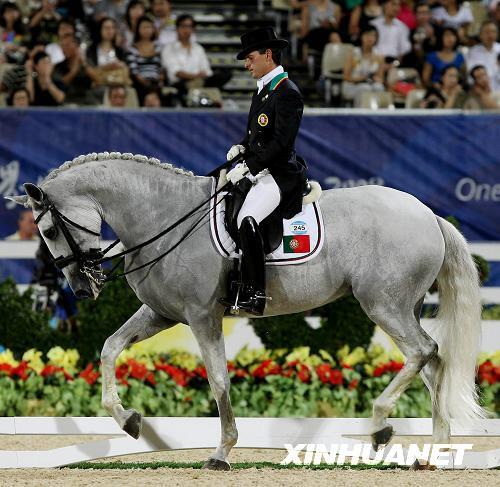 探索香港马术运动，2021年香港马内部免费资料深度解析