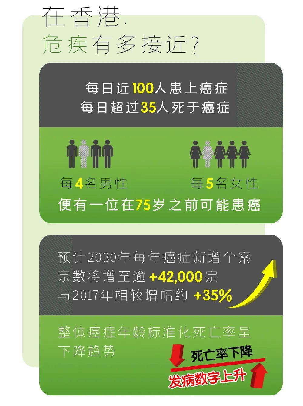2022年香港资料大全概览