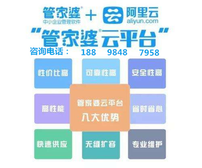 管家婆资料精准一句真言，揭秘高效管理与决策之道