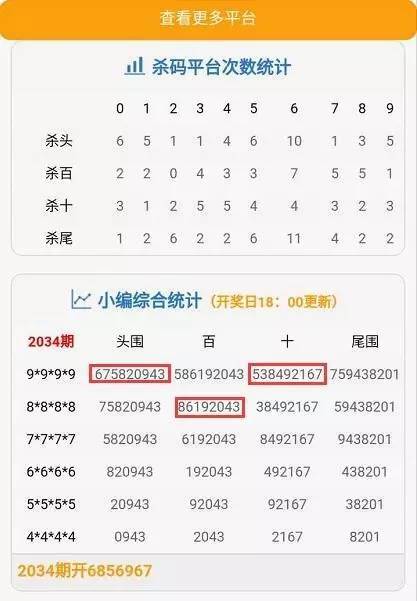 澳门码今晚开奖，免费查结果，探索彩票背后的故事