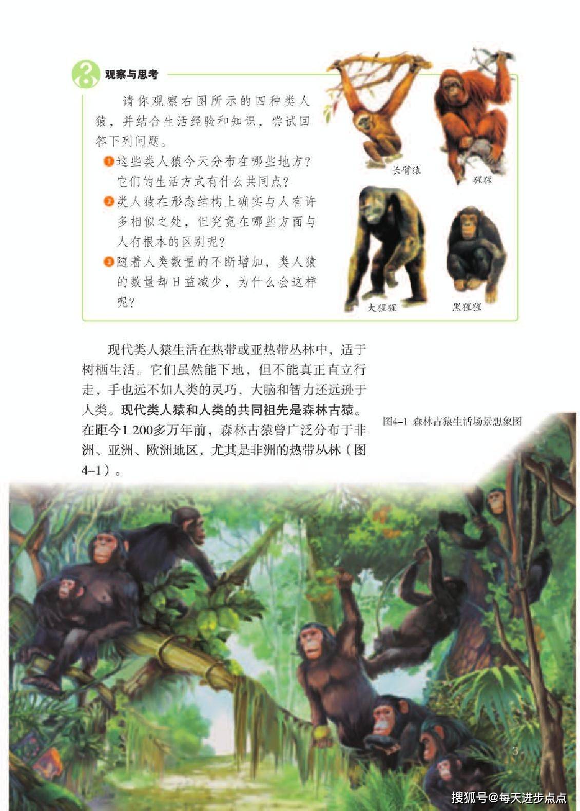 新跑狗高清跑狗图彩图，探索与赏析