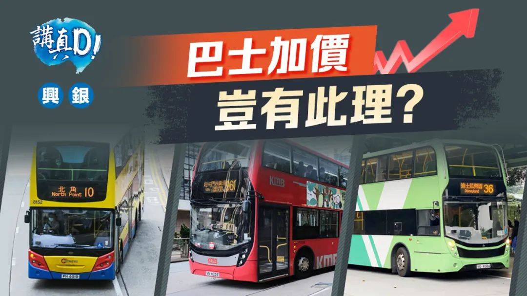 新澳门六开资料大全，探索与解读