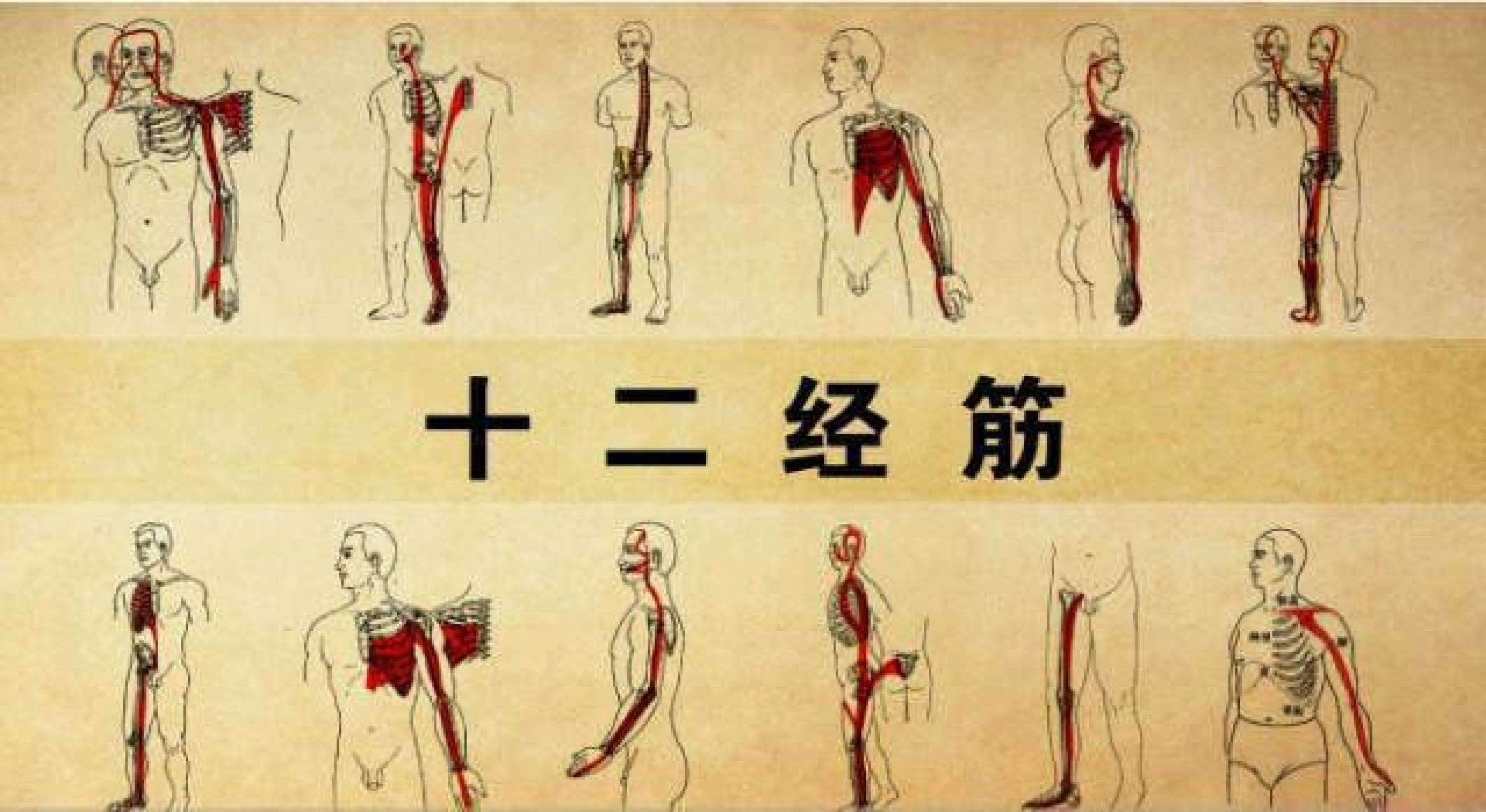 铁算盘玄机，揭秘古老智慧的神秘面纱