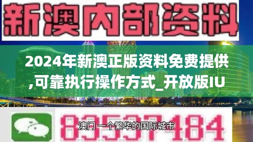 新澳姿料大全正版2024，全面解析与深度探讨