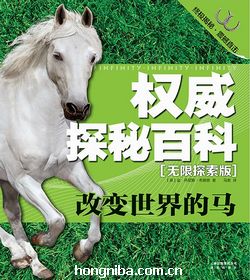 澳门今期特马四不像，探索与解析