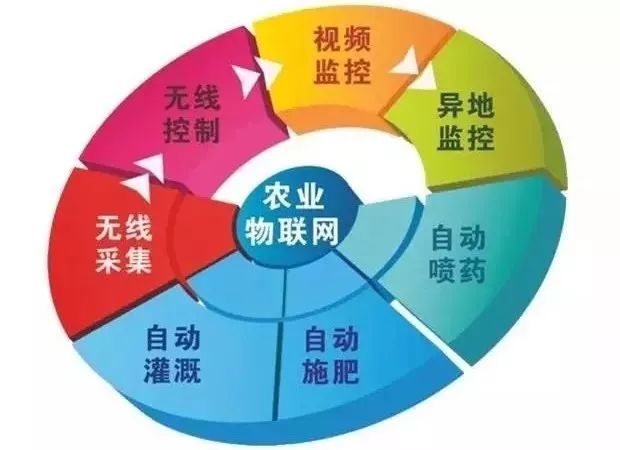 免费精准预测，未来走向的启示