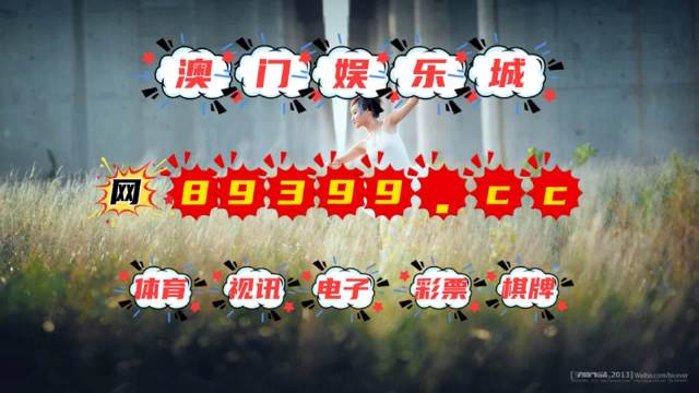 澳门66期开奖规则详解，视频解析与探讨