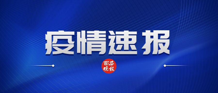 澳门赛车直播回放，第66届赛事最新消息与今日视频回顾